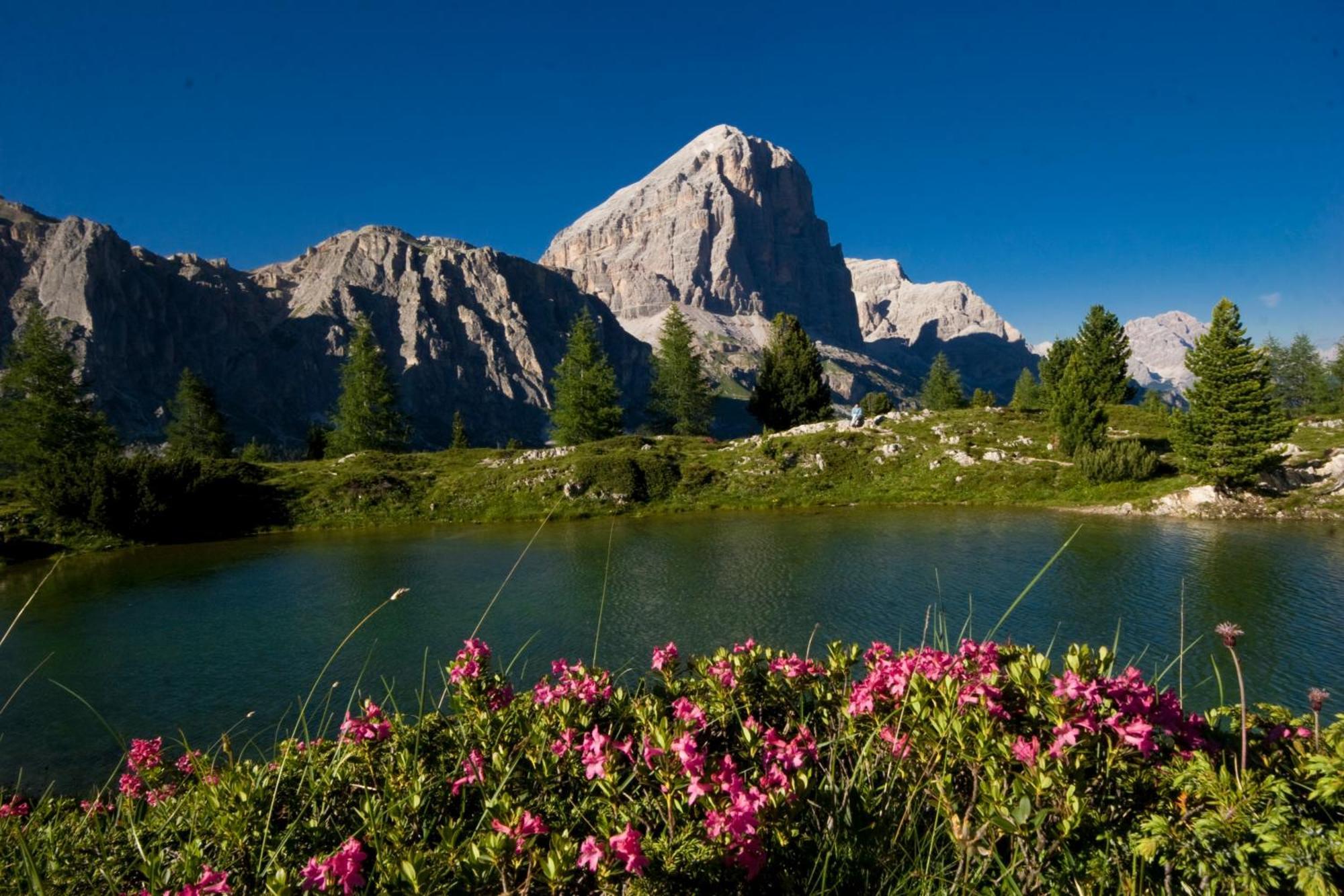 Ciasa Vervei Cortina dʼAmpezzo Zewnętrze zdjęcie